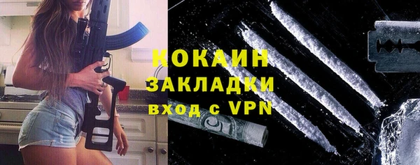 мдпв Богородицк