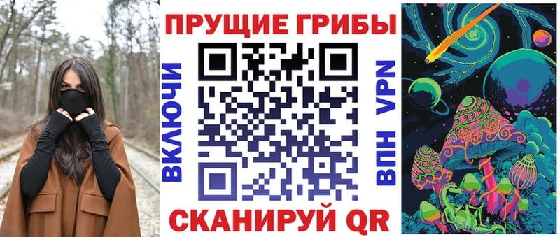Псилоцибиновые грибы GOLDEN TEACHER  darknet Telegram  Балтийск 