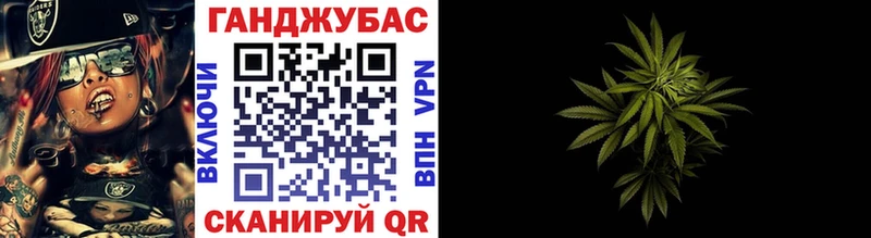 Конопля конопля  как найти наркотики  omg вход  Балтийск 